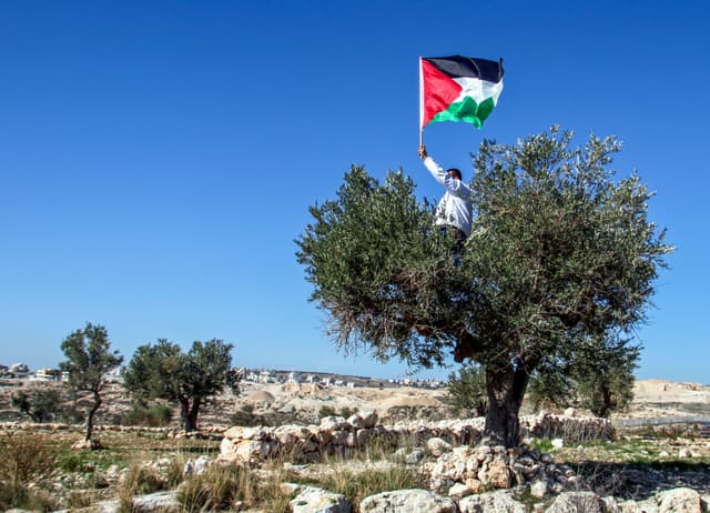 Palestine – Life under occupation (2012-2022)